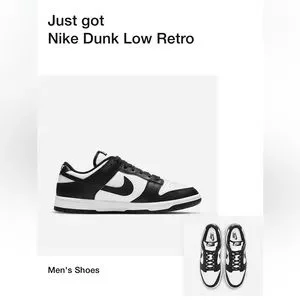 NIB Nike Dunk Low Retro \